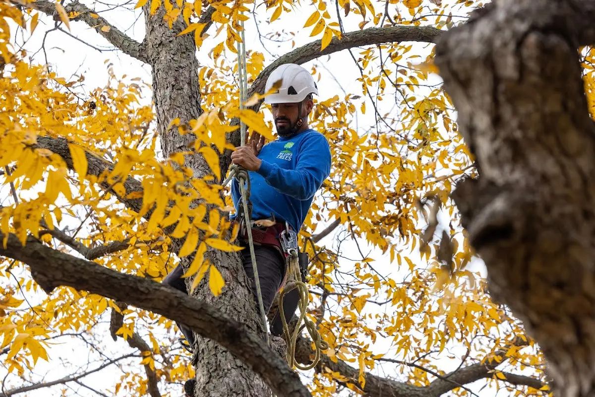 Skilled Storm Damage Cleanup crew working in Perry